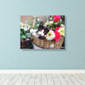 Toile Kitten (Insitu (Plancher de Bois))
