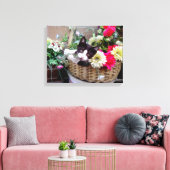 Toile Kitten (Insitu(Salon))