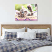 Toile Kitten Dans Un Panier (Insitu(Chambre))