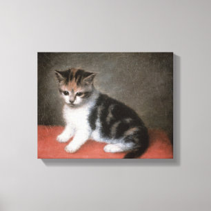 Toile Kitten de Mlle Ann White's, 1790 de George Stubbs