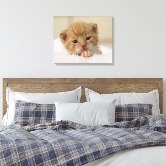 Toile Kitten de Tiny (Insitu(Chambre))