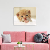 Toile Kitten de Tiny (Insitu(Salon))
