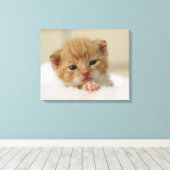 Toile Kitten de Tiny (Insitu (Plancher de Bois))