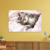 Toile Kitten Dormir sur la serviette (Insitu(Salon))