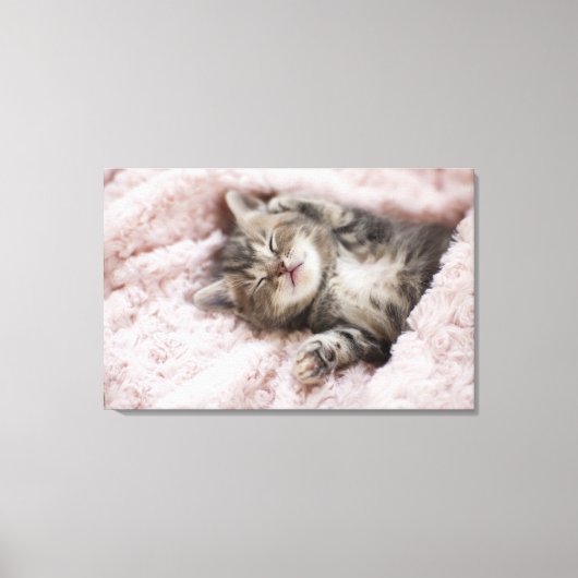 Toile Kitten Dormir sur la serviette (Recto)