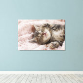 Toile Kitten endormi (Insitu (Plancher de Bois))