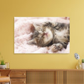 Toile Kitten endormi (Insitu(Salon))