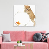 Toile Kitten essayant d'atteindre un poisson rouge (Insitu(Salon))