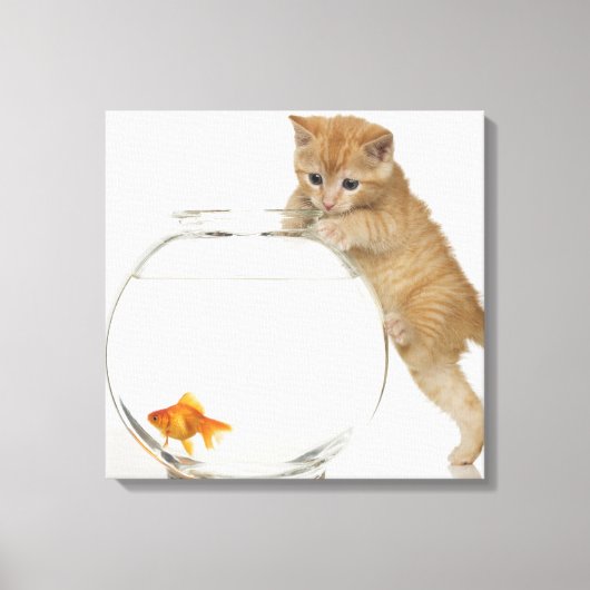 Toile Kitten essayant d'atteindre un poisson rouge (Recto)