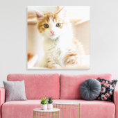 Toile Kitten orange et blanc (Insitu(Salon))