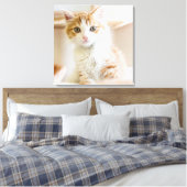 Toile Kitten orange et blanc (Insitu(Chambre))