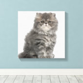 Toile Kitten persan (2 mois) assis (Insitu (Plancher de Bois))