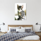 Toile Kitten Stare (Insitu(Chambre))
