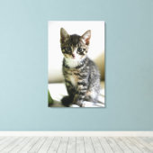 Toile Kitten Stare (Insitu (Plancher de Bois))