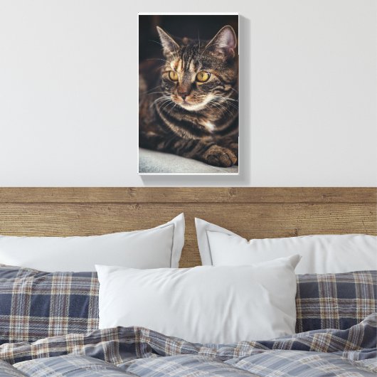 Toile Kitty (Insitu(Chambre))