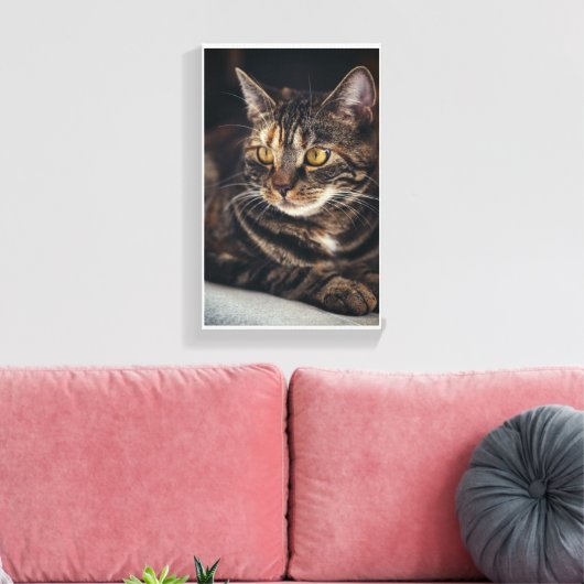 Toile Kitty (Insitu(Salon))