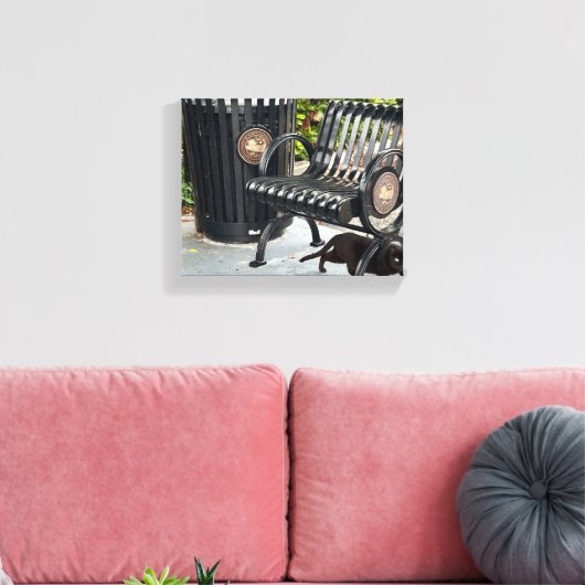 Toile Kitty dans le parc (Insitu(Salon))