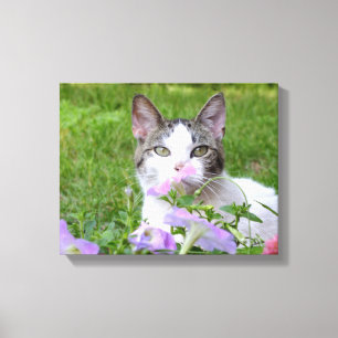 Toile Kitty et Pétunias roses