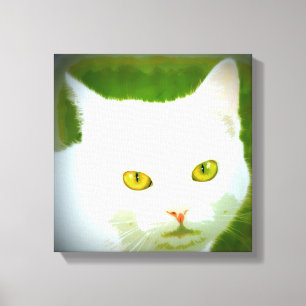 Toile kittycat blanc
