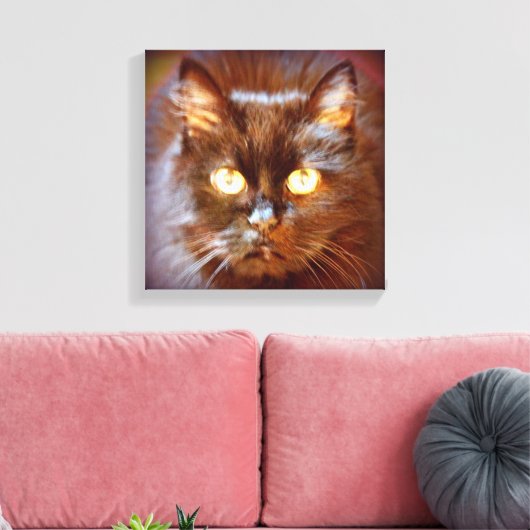 Toile kittycat noir (Insitu(Salon))