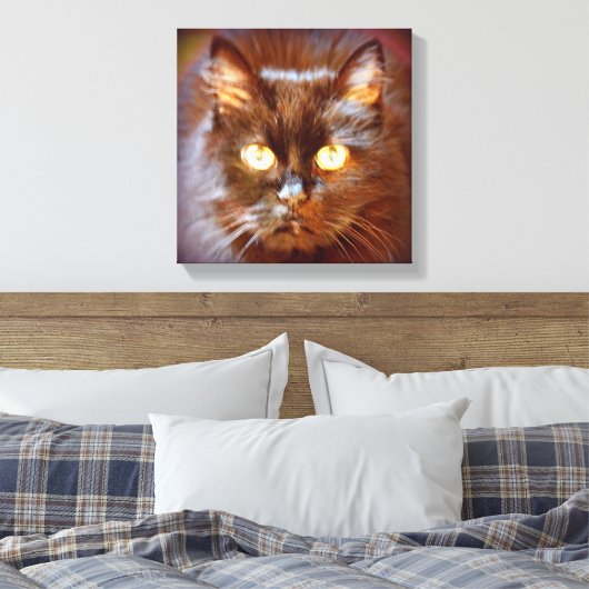 Toile kittycat noir (Insitu(Chambre))