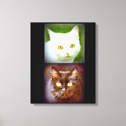 Toile kittycats blancs/noirs (Recto)