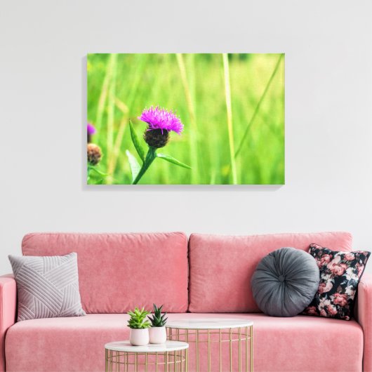 Toile Knapweed (Insitu(Salon))