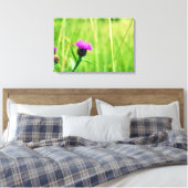 Toile Knapweed (Insitu(Chambre))