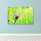 Toile Knapweed (Insitu (Plancher de Bois))