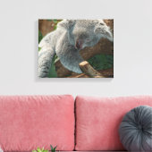 Toile Koala (Insitu(Salon))