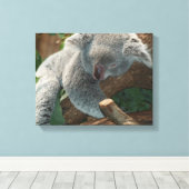 Toile Koala (Insitu (Plancher de Bois))
