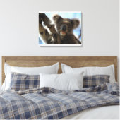 Toile koala (Insitu(Chambre))