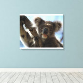 Toile koala (Insitu (Plancher de Bois))