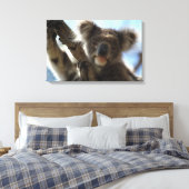 Toile koala (Insitu(Chambre))