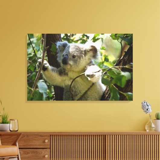 Toile Koala bébé incroyablement mignon dans un arbre (Insitu(Salon))