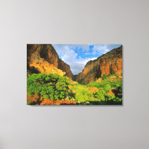 Toile Kolob Canyon à Zion Canyon dans le parc national d