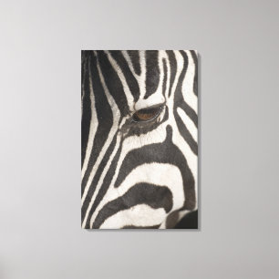 Toile La 'Afrique, Tanzanie, conservation Area de