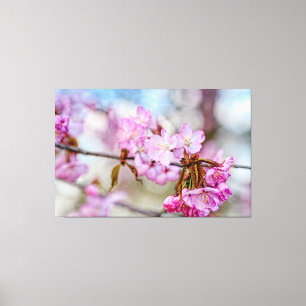 Toile La Beauté Assourdie Des Fleurs De Sakura Au Printe