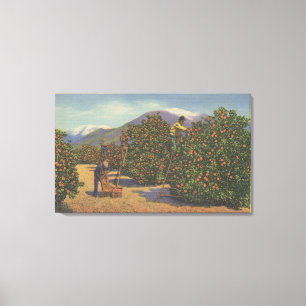 Toile La Californie du sud - oranges de cueillette
