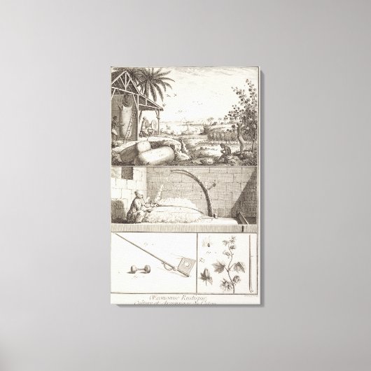 Toile La culture du coton, de l'Encyclopedia (Recto)