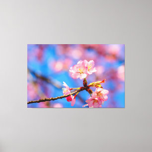 Toile La délicate beauté des Sakura sur fond de ciel ble