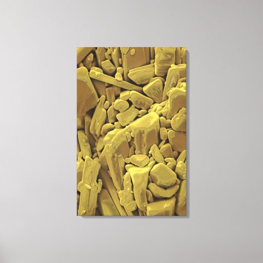 Toile La dooxycycline est membre de l'antibi de la tétra (Recto)