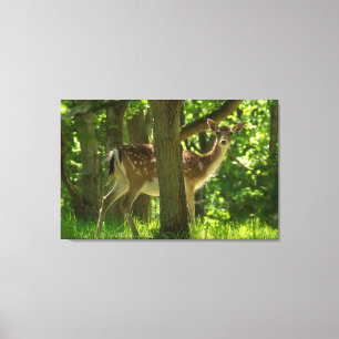 Toile La faune Le cerf en jachère dans la forêt parmi le