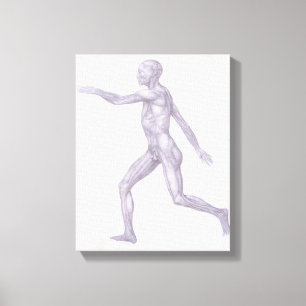 Toile La figure humaine, vue latérale, de la série 'A