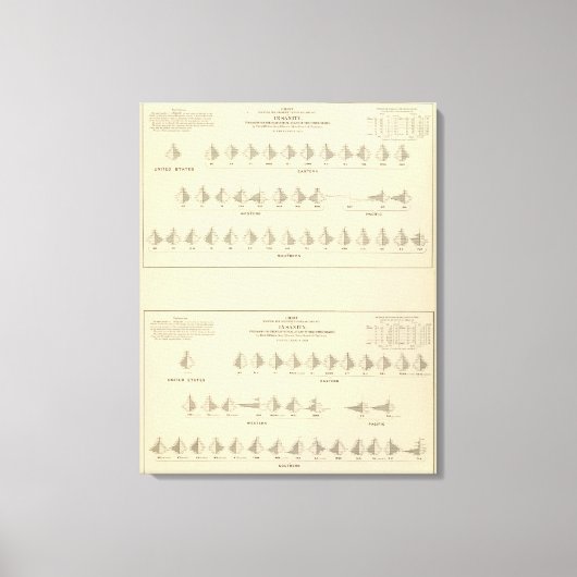 Toile La folie, statistique US Lithograph (Recto)