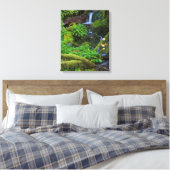 Toile La forêt tropicale automautomne | Parc national ol (Insitu(Chambre))
