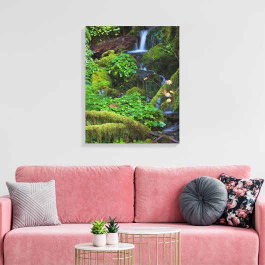 Toile La forêt tropicale automautomne | Parc national ol (Insitu(Salon))