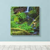 Toile La forêt tropicale automautomne | Parc national ol (Insitu (Plancher de Bois))