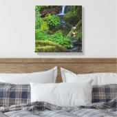 Toile La forêt tropicale automautomne | Parc national ol (Insitu(Chambre))