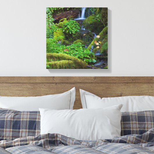 Toile La forêt tropicale automautomne | Parc national ol (Insitu(Chambre))